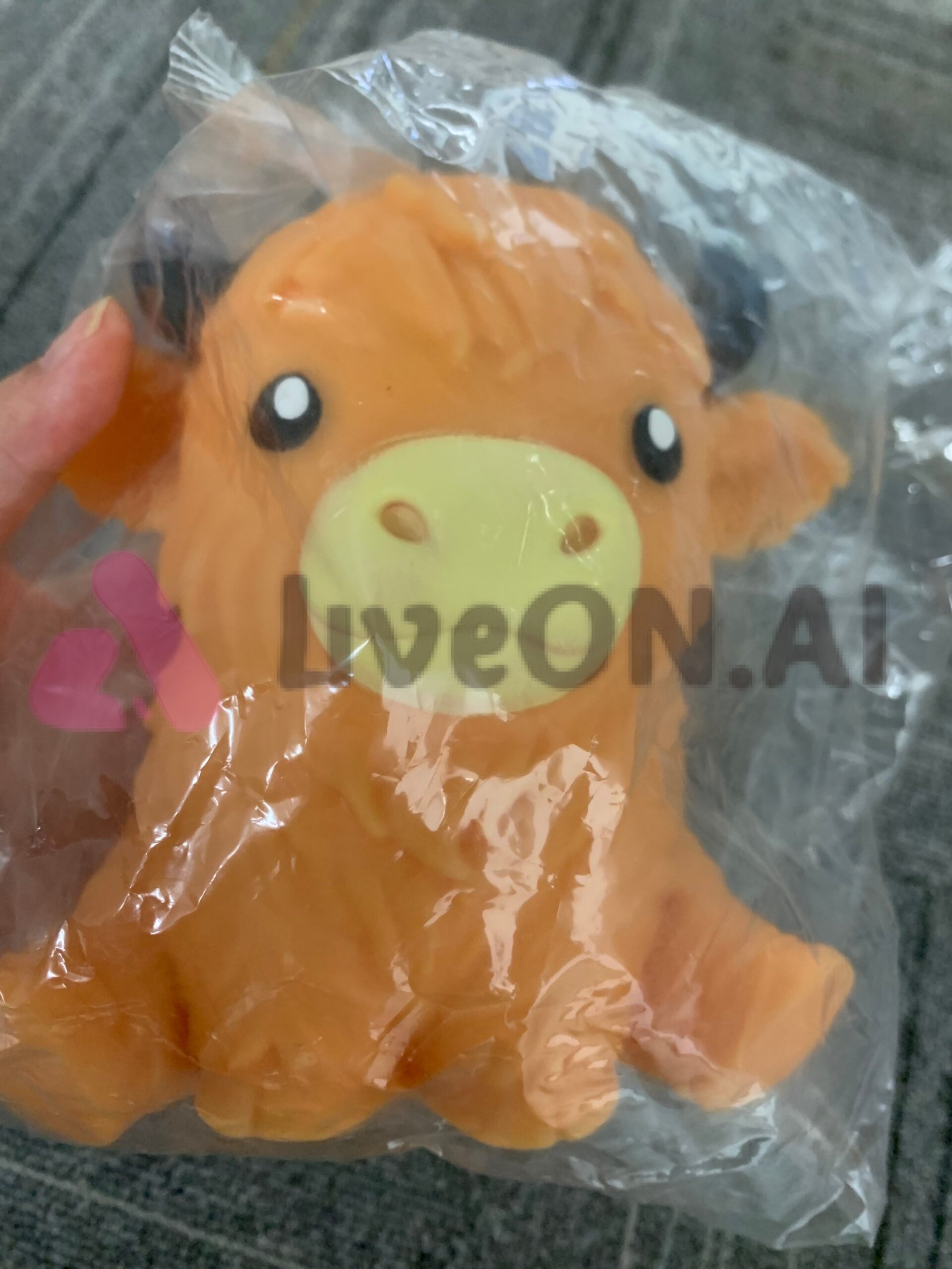 Highland-Cow